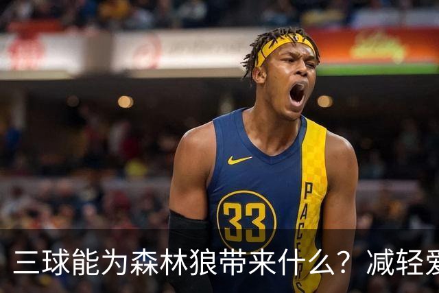 三球能为森林狼带来什么？减轻爱德华兹单打负担 麦丹能惩罚对手
