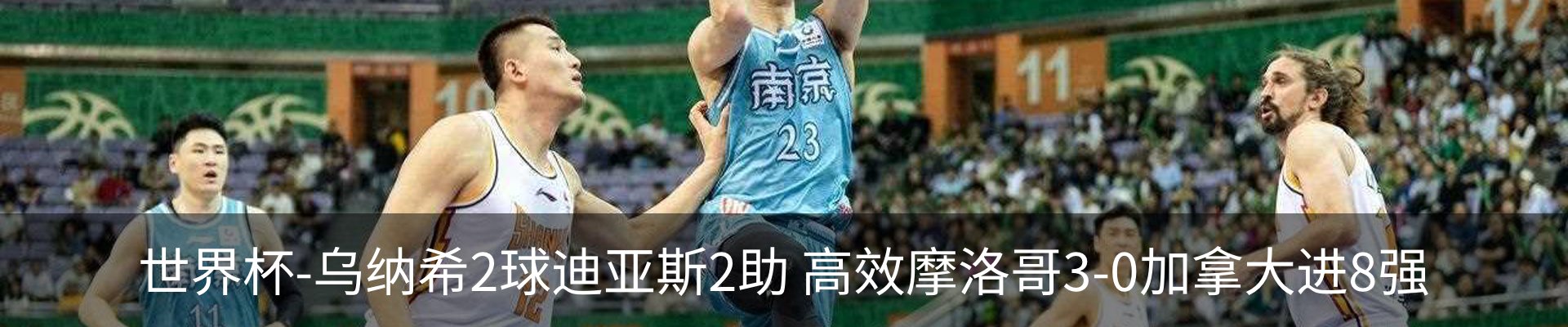 最新动态