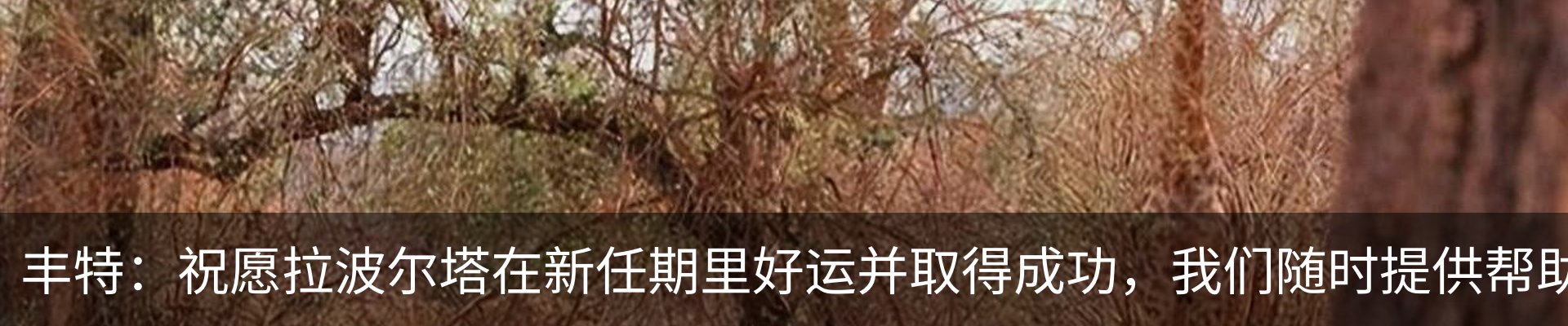 最新动态