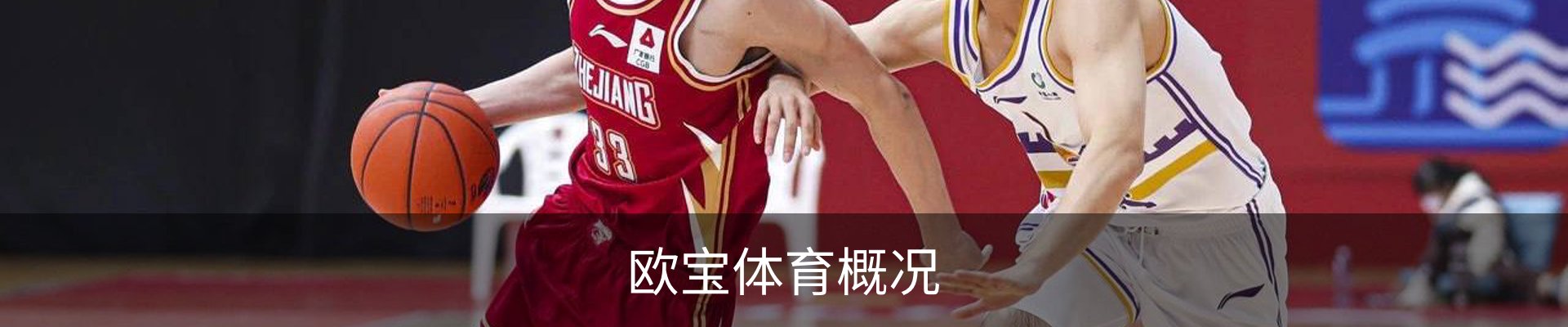 欧宝体育概况