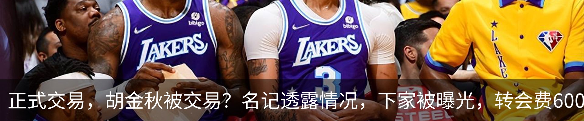 最新动态